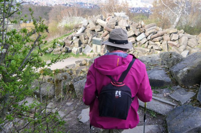 p1060581easy fotok.jpg